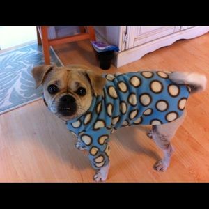 Meet your Posher, Moriah